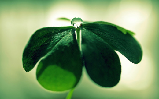 891586 (a): :2560x1600
